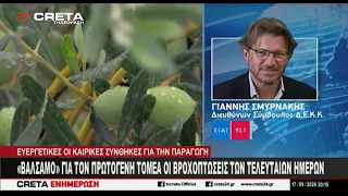 "Βάλσαμο" για τον πρωτογενή τομέα οι βροχοπτώσεις των τελευταίων ημερών