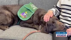 Adams County State’s Attorney hires furry friend to help comfort victims