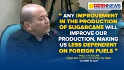 Pagpapalakas ng produksyon ng sugarcane vs imported fuel, isinusulong — SRA