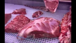 Carne di cavallo vietata, la proposta di legge non convince i baresi: "La importeremo dall'estero" Carne di cavallo vietata, la proposta di legge non convince i baresi: "La importeremo dall'estero"