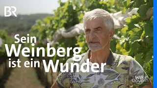 Sein Weinberg ist ein Wunder: Winzer Josef Tremml | Wir in Bayern | BR