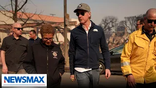 Newsom has made no comment about homeless fraud: California advocate | The Count