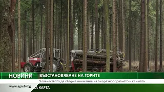 ВЪЗСТАНОВЯВАНЕ НА ГОРИТЕ: Човечеството да обърне внимание на биоразнообразието и климата