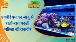 Safal Kisan: एक्वेरियम का जादू से रातों-रात बदली महिला की तकदीर | DD Kisan | 20/02/2026