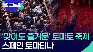 1시간 동안 펼쳐진 토마토 전쟁…스페인 토마티나 [월드24/오늘 한 컷] / KBS  2026.08.31.