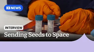 Classroom program examines impact of microgravity on plant growth | ABC NEWS