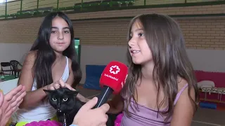 Thousands evacuated due to fires in Madrid