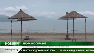 БИОРАЗНООБРАЗИЕ: Зарибиха Охридското езеро с 2 млн. малки пъстърви