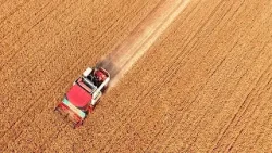 Энергетический кризис может спровоцировать глобальный кризис продовольственной безопасности.