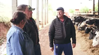 Cuidados no alojamento dos leitões são essenciais para o bom desempenho do lote | Interligados