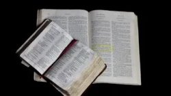 Organizations reject unconstitutionality actions against laws on national symbols and the Bible