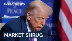 Markets shrug as Trump tariffs take effect