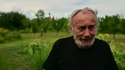 Hegykő -XI. Művésztelep