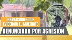 Vecinos denuncian a un joven por maltratar a su madre