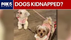 «Вы держите мою собаку в заложниках»: семья просит вернуть её | FOX 5 News «Вы держите мою собаку в заложниках»: семья просит вернуть её | FOX 5 News
