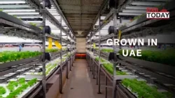 Inside the UAE’s Local Farming Movement Inside the UAE’s Local Farming Movement