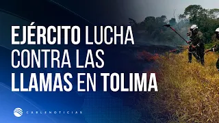 Army fights forest fires in Tolima with over 150 troops