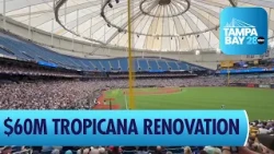 Tampa Bay Rays Return to Tropicana Field for World Series After $60M in Repairs and Renovations