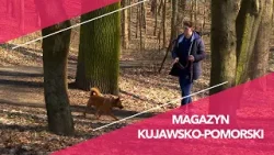 Magazyn Kujawsko Pomorski 20.03.2026 nr 8