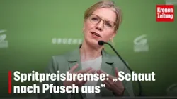Spritpreisbremse: „Schaut nach Pfusch aus“ | krone.tv NEWS