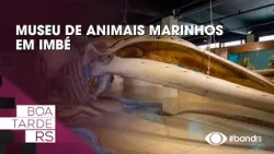 Museu de animais marinhos em Imbé
