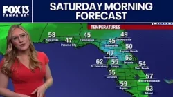 Погода в Тампе | Прогноз на утро субботы