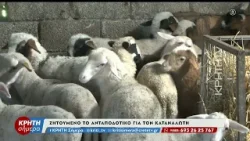 Ολοκληρωμένο σχέδιο διάσωσης της κτηνοτροφίας στην Βουλή απο τον Γ. Φασουλά