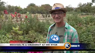 MEGVISELTE A VIRÁGOKAT AZ IDEI NYÁR