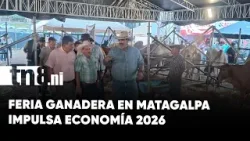 Feria Ganadera en Matagalpa impulsa la economía de Nicaragua Feria Ganadera en Matagalpa impulsa la economía de Nicaragua