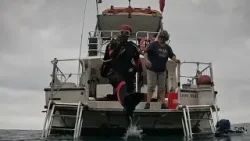 11 days, 19 hours and 23 minutes: Memphis woman sets record-breaking scuba diving journey