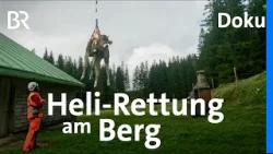 Tierrettung per Helikopter: Jungvieh in der Bergwelt | Bergmenschen | Doku | BR | Alm | Alpe | Berge