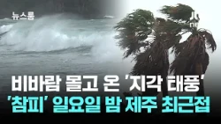 비바람 몰고 온 '지각 태풍' 참피…일요일 밤 제주 최근접 / JTBC 뉴스룸