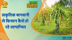 Safal Kisan | सफल किसान- प्राकृतिक बागवानी से किसान कैसे हो रहे लाभान्वित | DD Kisan |April 10, 2026