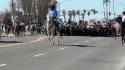 Cows stampeding through Chowchilla 'preserve the Western way of life' Cows stampeding through Chowchilla 'preserve the Western way of life'
