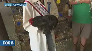 New Day Cleveland- Portage County Randolph Fair pt. 1