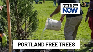 Portland Parks & Recreation launches Free Trees for Portlanders season