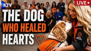 ILTV Israel nOn The Hour – August 12, 2026 | A HERO ON FOUR PAWS