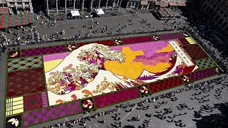 Brüksel, Hokusai esinli dev çiçek halıyı sergiledi
