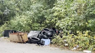 Residents say a cleaner Memphis starts with everyone