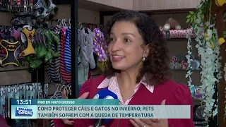How to protect your dogs and cats in winter; pets also suffer when temperatures drop