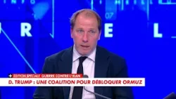 Raphaël Stainville : «Le détroit d'Ormuz fait l'objet de nombreuses stratégies»