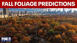 Fall foliage predictions for NYC: When will the leaves change colors?