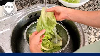 Health officials declare the cyclosporiasis outbreak over