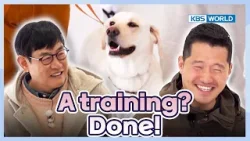 That would be perfect? [Dogs Are Incredible : EP.216-3] | KBS WORLD TV 240423