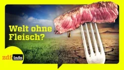 Algen statt Steak: Die Zukunft unserer Ernährung | ZDFinfo Doku