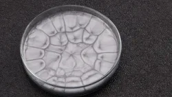 「120秒の科学」　＃44 対流【「120 seconds of Science」＃44 Convection】