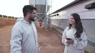 Nutrition and care ensure health and performance in chicken farming | Interconnected