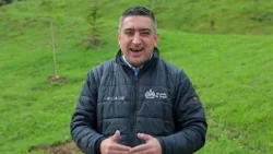 Captan imágenes de especie felina poco vista en Colombia en el municipio de Itagüí