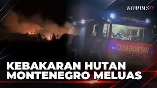 Wildfires Sweep Through Montenegro, Water-Bombing Aircraft Deployed to Extinguish Flames | KOMPAS...