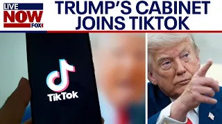 Trump Cabinet members are looking to join TikTok